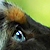 photos/0-animals/16117.jpg's thumbnail